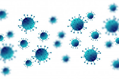 best ecommerce platform